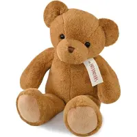 Histoire d ́Ours Teddybeer Verhaalverteller 40 cm Hazelnoot
