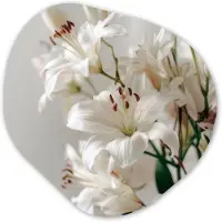 MuchoWow Organische wanddecoratie 40x40 cm - Organisch schilderij Lelies - Boekte - Wit - Meeldraden - Muurdecoratie woonkamer - Kamer decoratie - Schilderijen - Muurcirkel aesthetic