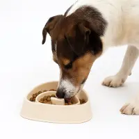 Nobleza Hondenvoerbak anti schrok - Schrokbak - Slowfeeder hond - Anti schrokbak hond - Beige - Inhoud 500ml