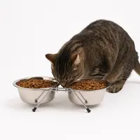 Nobleza Dinnerrack voor honden of katten - Dubbele voerbak op pootjes - Dubbele voerbak op standaard - Metalen voerbakken - Maat S