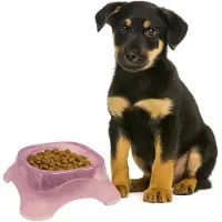 Nobleza Voerbak Hond en Kat - Drinkbak - 375 ml - Kunststof - Antislip - Roze - Maat S