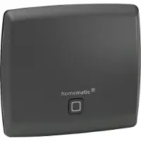 Homematic Slimme thuis toegangspunt (HmIP-HAP-A) (anthraciet)