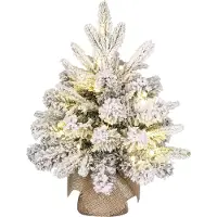 Black Box Trees Kunstkerstboom 45 cm | Grimshaw | Besneeuwd | 20 lampjes | 35 Tips |