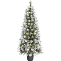 Black Box Trees Kunstkerstboom 120 cm | Norton | Besneeuwd | 60 lampjes | 190 Tips |