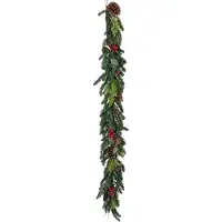 Intratuin Guirlande Rode Bes 172 Cm