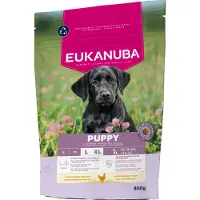 Eukanuba 5x Hondenvoer Droog Life Care Dog Puppy Large Kip 800 Gr