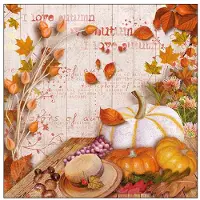 Ambiente Servetten Colours autumn 33cm