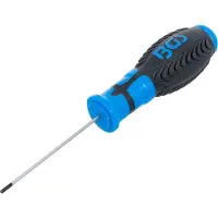 Bgs Schroevendraaier - binnenzeskant 2 mm - Meslengte 75 mm