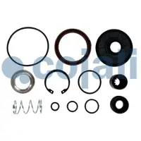 Cojali Reparatieset, common-rail-systeem 6012365