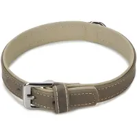 Beeztees BZ LEREN KRAAG COMFORT GRIJS 45 (45, Hond, Hondensport)