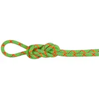 Mammut - 8.0 Alpine Core Protect Dry Rope - Halftouw 70 m, groen