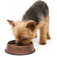 Nobleza Voerbak kleine hond - Hondenvoerbak XS - RVS anti slip - Inhoud 200ml
