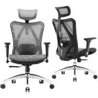 Sihoo M57 Ergonomische Bureaustoel - Verstelbare Lendensteun - 3D Armleuning - Hoogteverstelling - Bureaustoelen voor Volwassenen tot 150kg - Grijs