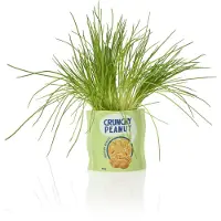Bitten Pindazak bloempot van