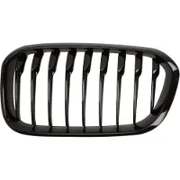 BLIC Radiatorrooster 6502-07-0086997P