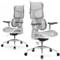Sihoo S100C Ergonomische Bureaustoel - Dubbele Dynamische Lendensteun - 4D Gecoördineerde Armleuning - Gamestoel - Wit