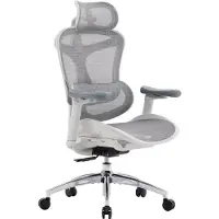 Sihoo Doro C300L Ergonomische Bureaustoel - 4D Armleuningen - Zelfaanpassende Lendensteun - Verstelbare Rugleuning - Mesh Rugleuning - 150kg - Kantoor/Thuis/Gaming - Inclusief gratis hoofdsteun - Wit