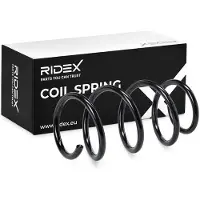 RIDEX 188C3913 Chassisveer