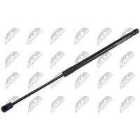 NTY AE-DW-019 Gasveer achterklep