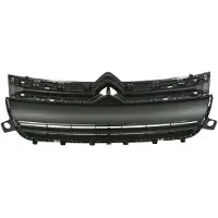 BLIC Radiatorrooster 6502-07-0554990Q