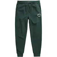 Men Plus Broek donkergroen