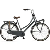 Altec Transportfiets dames Dutch 28 Inch 57 cm Dames 3V Terugtraprem Donkergrijs