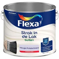Flexa - Strak In De Lak Buitenlak Hoogglans - Vleugje Pinksterbloem - Mengverf - 2,5 L