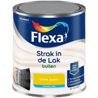 Flexa - Strak In De Lak Buitenlak Zijdeglans - 100% Sorbet - Mengverf - 1 L