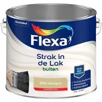 Flexa - Strak In De Lak Buitenlak Hoogglans - 85% Helmgras - Mengverf - 2,5 L