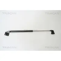 TRISCAN 8710 69215 Gasveer achterklep