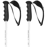 Head Worldcup Rebels Carbon Stokken