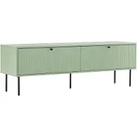 Oviala - TV-meubel met 2 deuren in staal en MDF decor 150 cm saliegroen - Romeo
