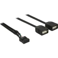DeLOCK Pin Header adapter USB2.0 (v) - 2x USB-A (v) - 0,40 meter