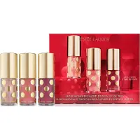 Estée Lauder Sheer Wonders Limited Edition Lip Oil Trio (3 x 4,5 ml)