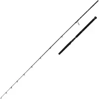 Savage Gear Defiance Sg2 Offshore Pelagic Spinning Rod Zilver 2.50 m / 30-80 g
