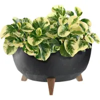 Kadax Bloempot van kunststof met drie insteeksteunen, ronde bloemenschaal, plantenbak, bloembak, plantenbak voor balkon, woonkamer (zwart, diameter 39,5 cm)