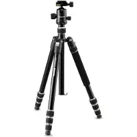 Cullmann Nando 560M Balhoofd RB8.5