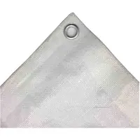 Boni-Shop® Afdekzeil 180g/m² 10x12m wit - Waterdicht, UV-bestendig Beschermzeil