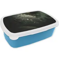 MuchoWow Broodtrommel Blauw - Lunchbox Blad - Groen - Nerven - Regendruppels - Brooddoos 18x12x6 cm - Brood lunch box - Broodtrommels voor kinderen en volwassenen
