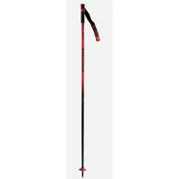 Rossignol Hero Sl Stokken