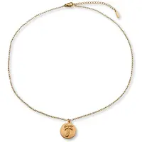 Marama - ketting Palm Tree Goud - stainless steel - gold plated - verstelbaar - palmboom bedel - nikkelvrij - elke gelegenheid