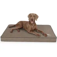 Knuffelwuff orthopedische hondenmat Palomino van met laser doorstikt kunstleer XXXL 135 x 90 cm stone