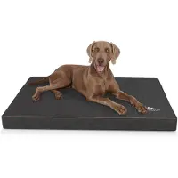 Knuffelwuff orthopedische hondenmat Palomino van met laser doorstikt kunstleer XXL 115 x 80 cm zwart