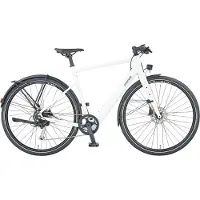 Prophete elektrische fiets 28 inch tot 110 km actieradius achterwielmotor lcd-display Urbanicer 2.0 53 cm
