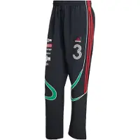 Adidas Broek 'Teamgeist' groen / rood / zwart / wit