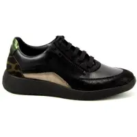 Solidus 56287 halea 287