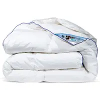 Fabiola Oostenrijks dons 4-seizoenen dekbed halfdons dekbed luxe en lekker