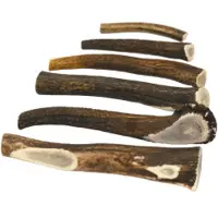 Brekz Snacks - Antler voor de hond XL