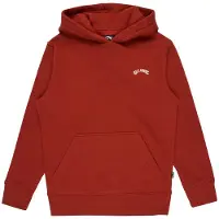 Billabong Arch Po Hoodie