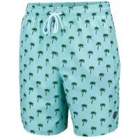 Falcon Zwemshort heren